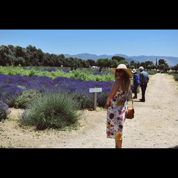 Meet your Posher, Anna - Picture 3 of 6